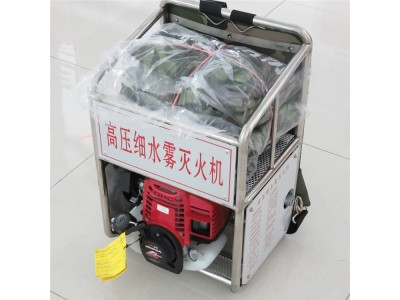 濟(jì)寧雷沃便攜式背負(fù)式多功能風(fēng)力風(fēng)高壓細(xì)水霧滅火機(jī)廠家批發(fā)價(jià)