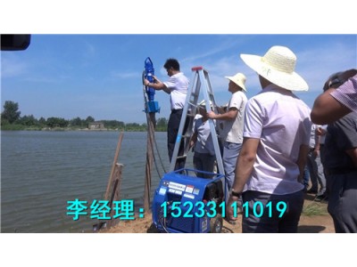 防汛搶險液壓打樁機，智能環保型防汛液壓植樁機